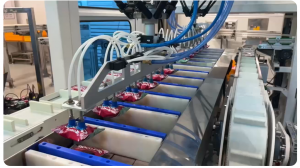 Automate Packaging With Delta Robot Case Packer