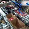 Automatic Cartoning System For Cream Bags