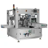 Automatic Filling and Bag Sealing Machine