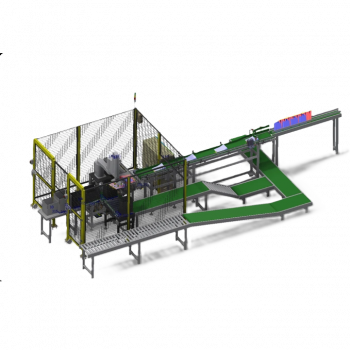 Automatic Cartoning System For Bags