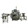 Automatic Filling and Capping Machine