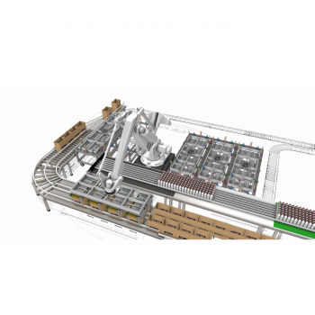 Automatic Cartoning System For Fish Sauce Bottles