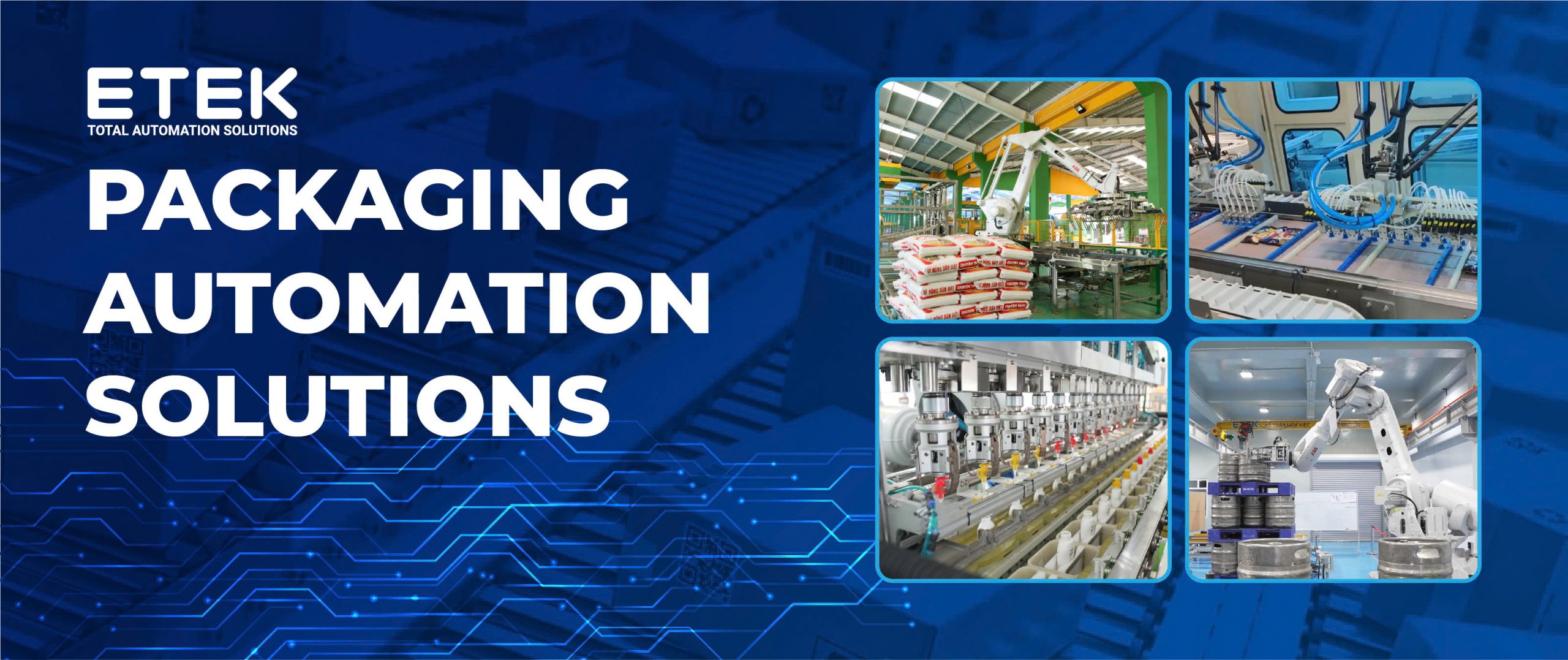 Packaging Automation Solutions