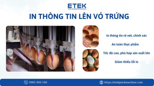 Printing Information on Egg Shells
